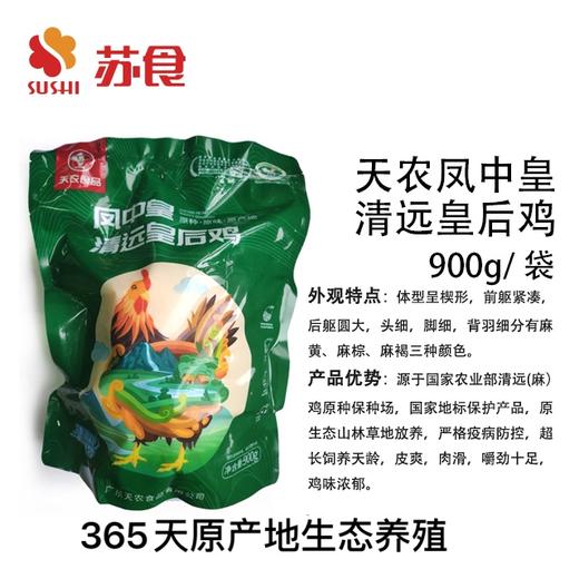 NJ苏食广东清远皇后鸡900克左右 商品图0