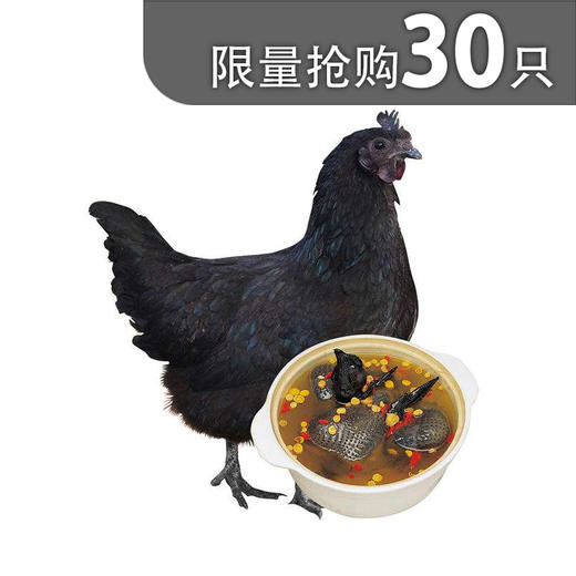 【抢购特价仅30份】2斤正宗苗家高山乌鸡 商品图0