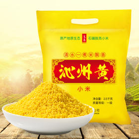沁州黄小米