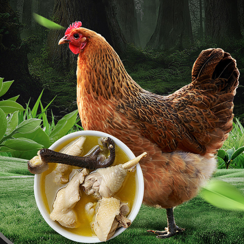 正宗苗家高山散养土鸡3斤