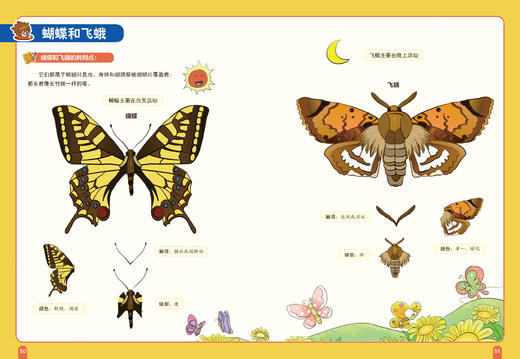 《科学超有趣》（全8册） 6-12岁科学科普书，含1000多个知识点词条 商品图6