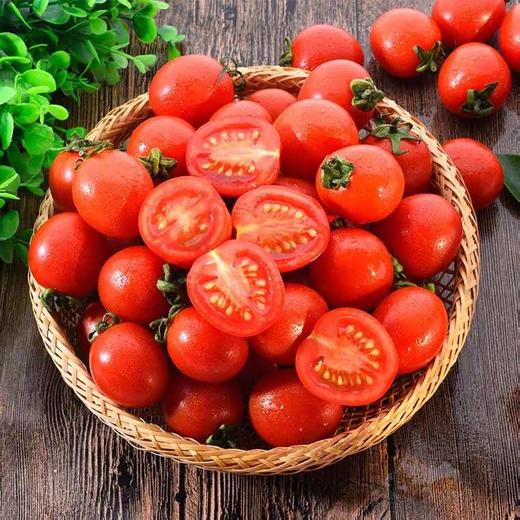 千禧圣女果500g 商品图0