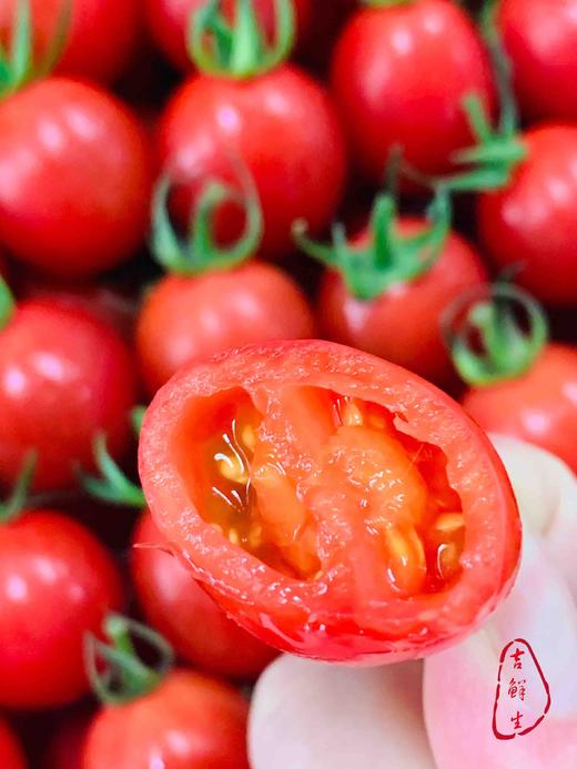 正宗海南陵水小番茄，鲜美可口，超级美味！原装4斤特价 商品图2