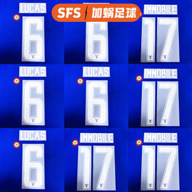 SFS 19-20拉齐奥主场 第二客场球员版印号连冠军标靶 非球衣链接