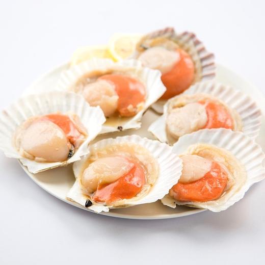 北海道半壳扇贝（附赠蒜蓉汁）2-5只 商品图1