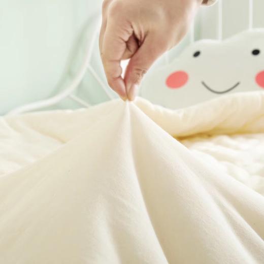 天然棉花春秋被（非罗莱团购订制品） 商品图1