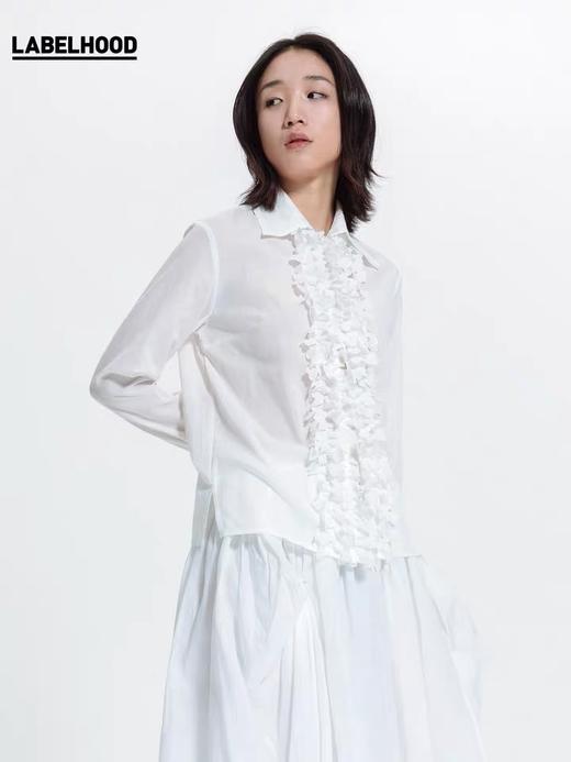 Deplumer 湖边边 设计感复古宫廷风烧花衬衫 CY2019121 商品图0