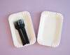 一次性餐具 商品缩略图2