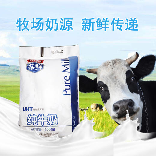 【秒杀百利包纯奶200ml*16袋，生产日期7月23日，保质期30天 商品图1