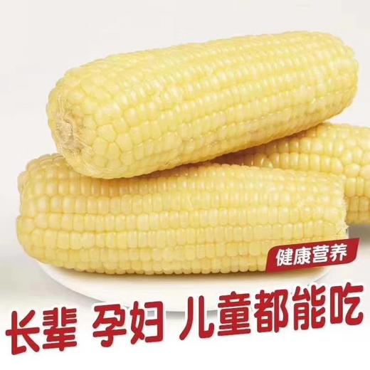 速冻牛奶糯玉米棒2根/包 商品图0