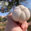 泰国🇹🇭山竹，质量好，价不高，5A大果 商品缩略图2