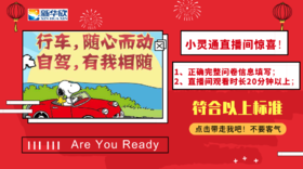 车辆服务小灵通直播--观看人