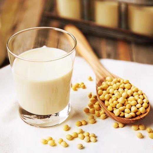 豆本豆有机豆奶250ml*12 商品图1