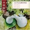 6孔SC白裂 商品缩略图3