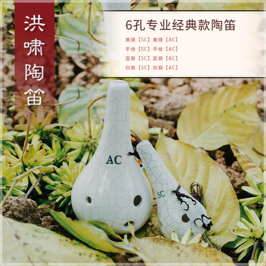 6孔SC白裂 商品图0