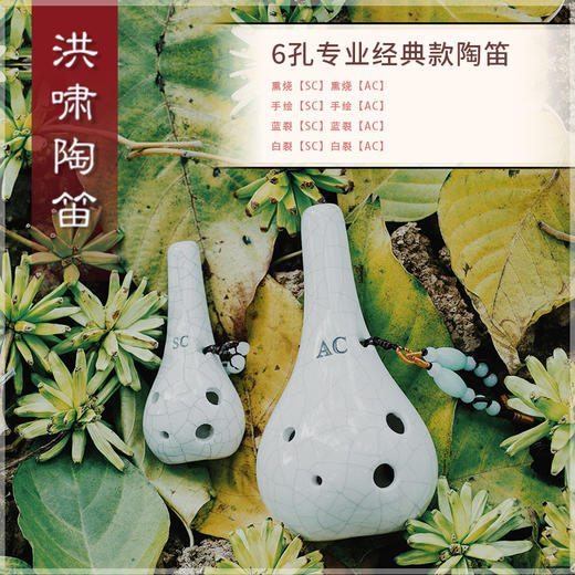 6孔SC白裂 商品图1