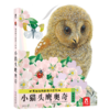 乐乐趣童书 亮丽精美触摸书系列-小猫头鹰奥奇 0-3岁正版婴幼儿启蒙认知中英双语绘本 可爱的早教书 商品缩略图0