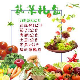 【抗疫助农】——新鲜采摘 蔬菜大礼包