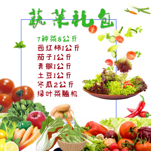 【抗疫助农】——新鲜采摘 蔬菜大礼包 商品图0