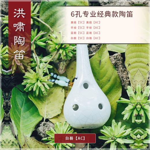 6孔SC白裂 商品图4