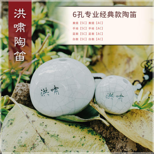6孔SC白裂 商品图2