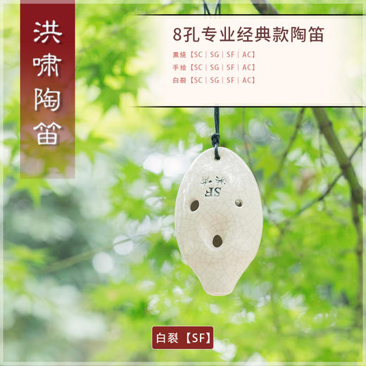 8孔AC白裂 商品图3