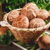 景宁深山高海拔花菇 500g 商品缩略图0