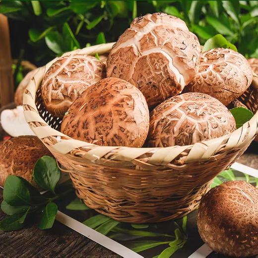 景宁深山高海拔花菇 500g 商品图0