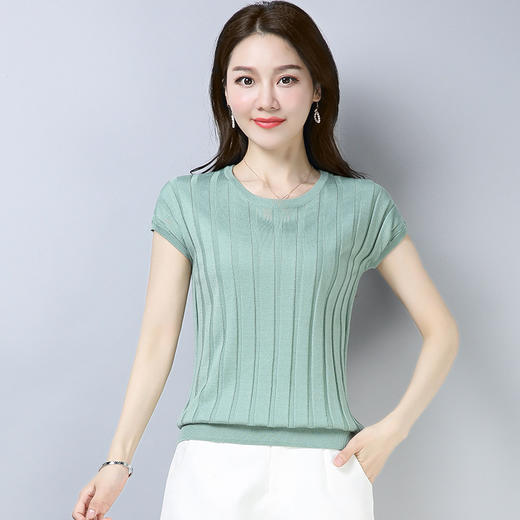 PY-39801       春夏季短袖t恤韩版新款冰丝针织衫套头打底衫T恤女上衣 商品图2