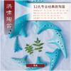 12孔BC蓝裂 商品缩略图4