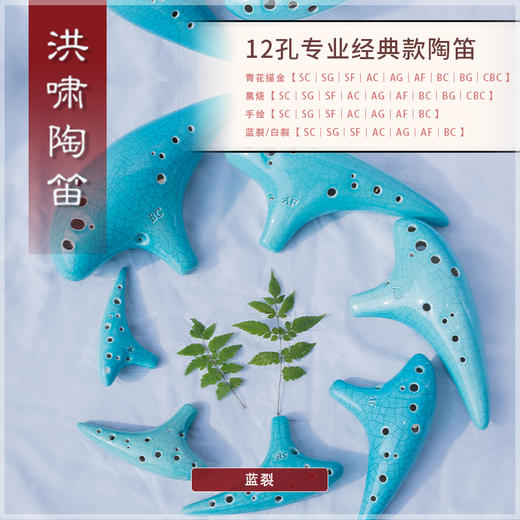 12孔BC蓝裂 商品图4