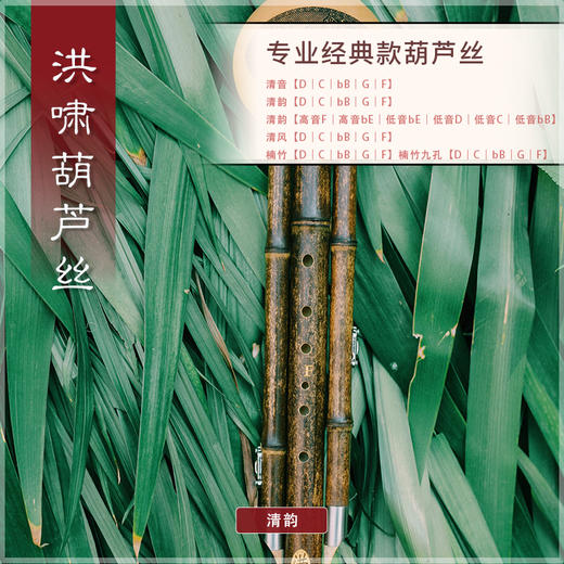 葫芦丝 清韵D调 商品图3