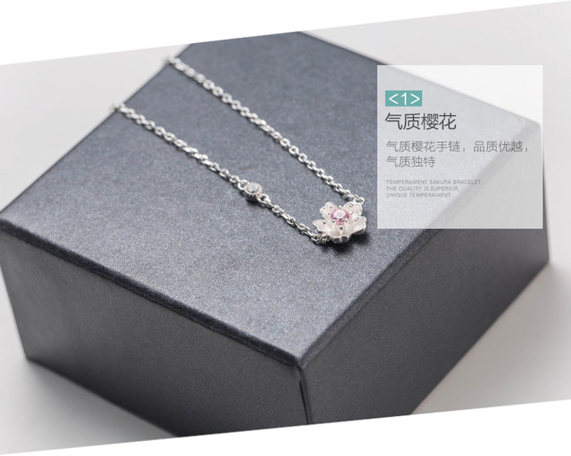 b63 (2)