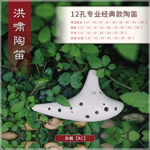 12孔BC白裂 商品图0