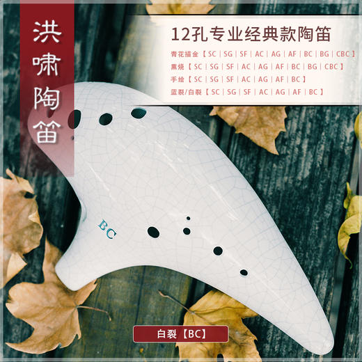12孔BC白裂 商品图2