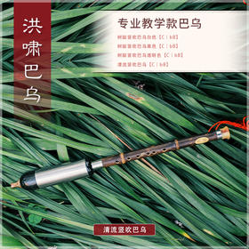 巴乌 教学款 清流【竖吹】