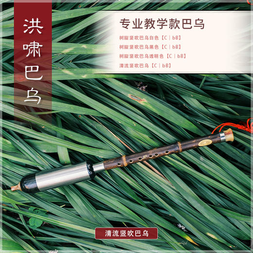 巴乌 教学款 清流【竖吹】 商品图0