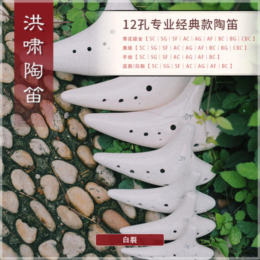 12孔BC白裂 商品图6