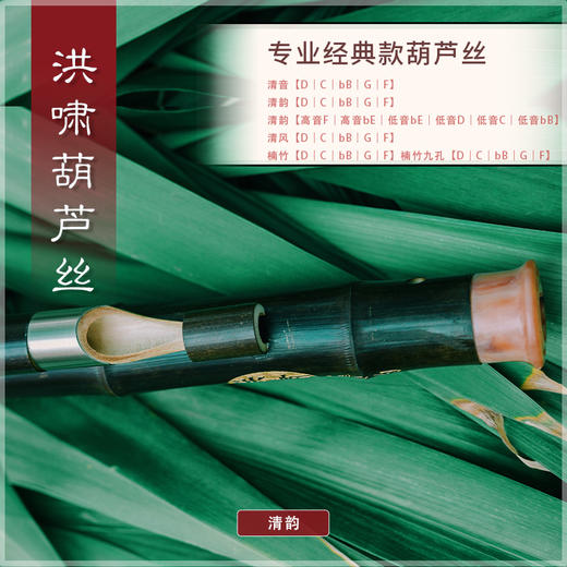 葫芦丝 清韵D调 商品图4