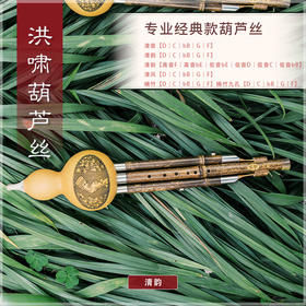 葫芦丝 清韵D调