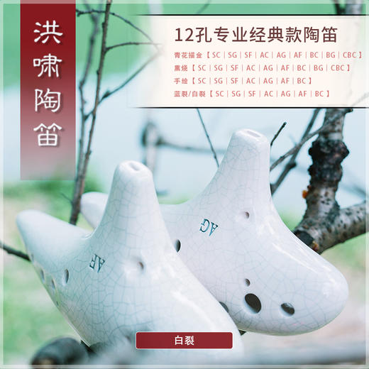 12孔BC白裂 商品图7