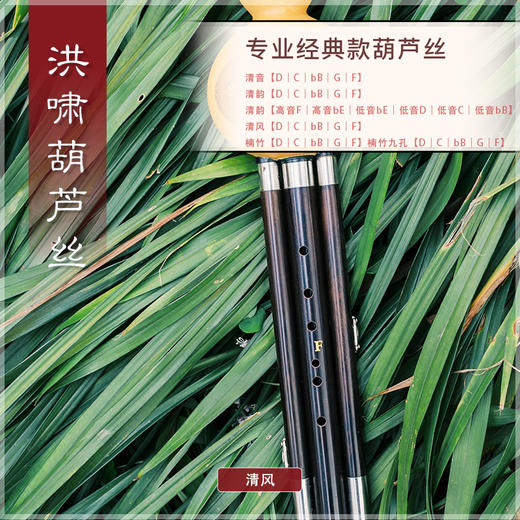 葫芦丝 清风C调 商品图1