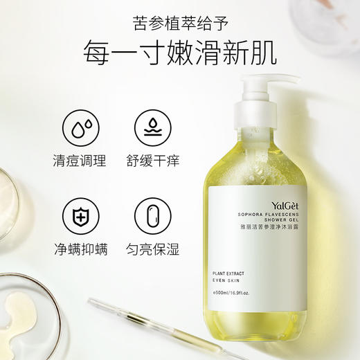 【第2瓶半价】雅丽洁苦参澄净沐浴露     天然植粹精华，净痘抑螨 商品图1