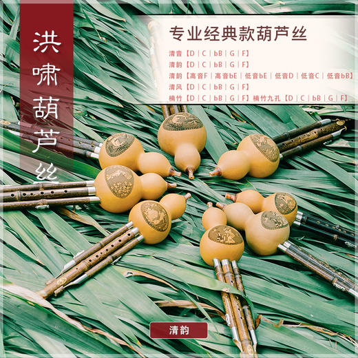 葫芦丝 清韵D调 商品图1