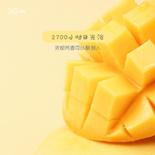 19°清甜芒蜜 芒果多多千层（深圳广州均可配送） 商品图2