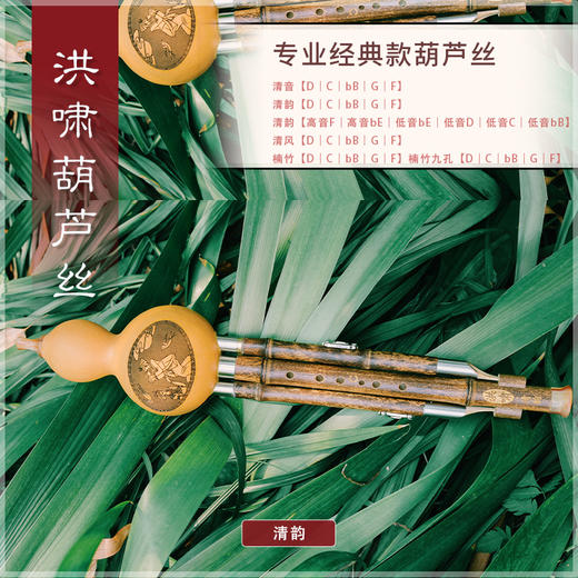 葫芦丝 清韵D调 商品图2