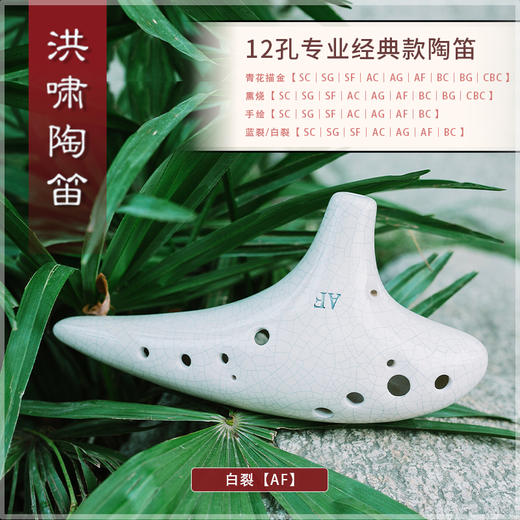 12孔BC白裂 商品图4