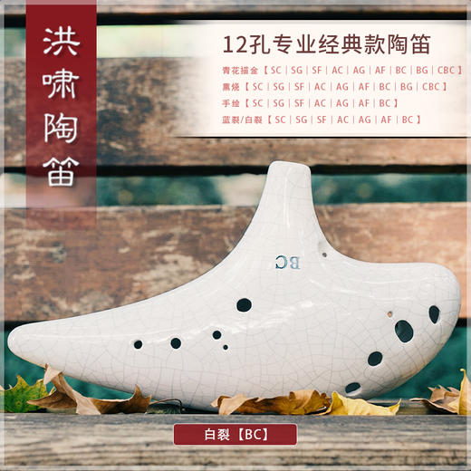 12孔BC白裂 商品图1
