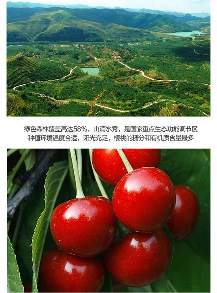 助农丨山东沂源美早大樱桃丨3斤/箱