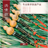 葫芦丝 教学款清流C调 商品缩略图0